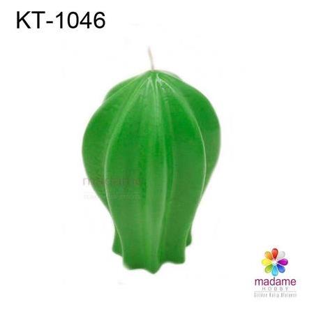 Kaktüs Silikon Kalıbı KT-1046